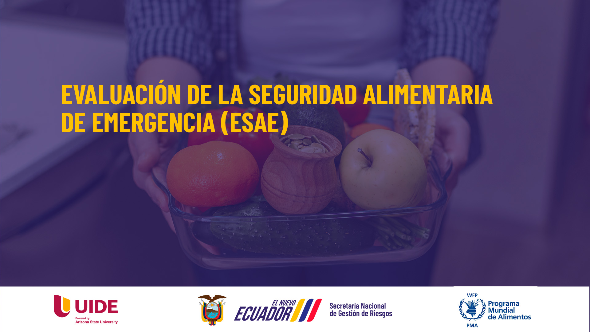 Evaluación de Seguridad Alimentaria en Emergencia-ESAE CFA8